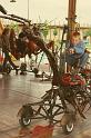 Le Manege Carre Senart concu par Francois Delaroziere 093